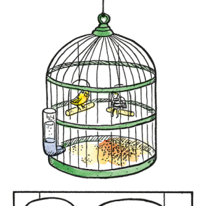 #19 - Birdcage