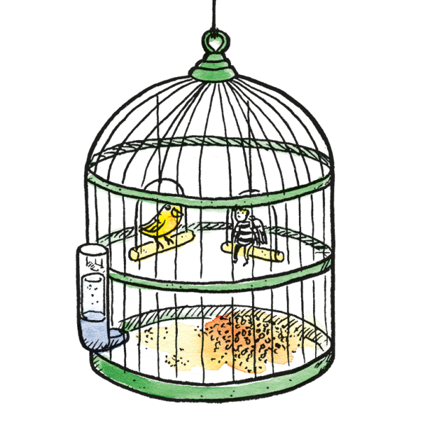 #19 - Birdcage