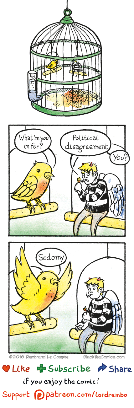 #19 - Birdcage
